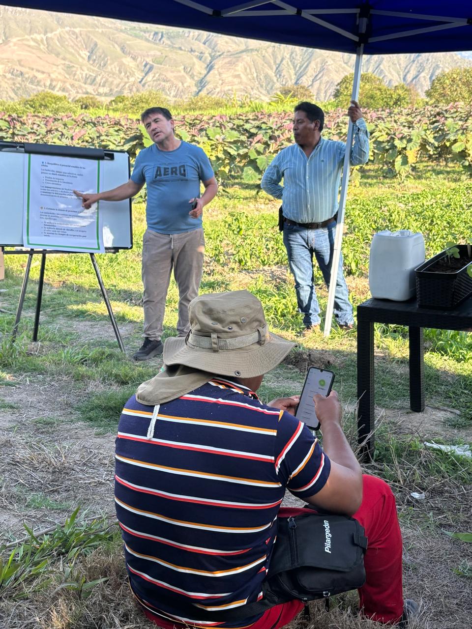 Reconocimiento dentro de actividades de capacitación agrícola