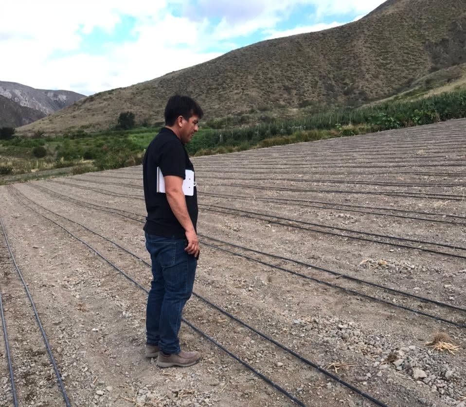 Javier Rivera, asesor técnico de Proveplant en campo agrícola