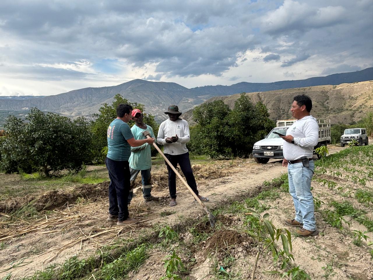 Seguimiento técnico en campo