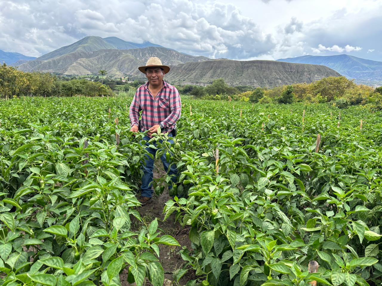 Productor acompañado por Proveplant